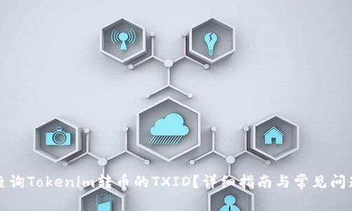 如何查询Tokenim转币的TXID？详细指南与常见问题解析