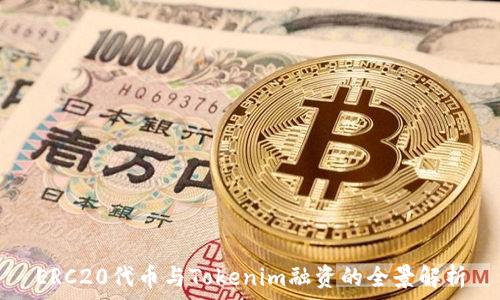  
ERC20代币与Tokenim融资的全景解析