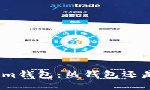 : Tokenim钱包:热钱包还是冷钱包?