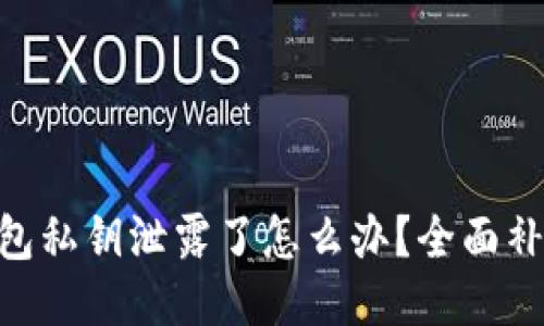 Tokenim钱包私钥泄露了怎么办？全面补救措施指南