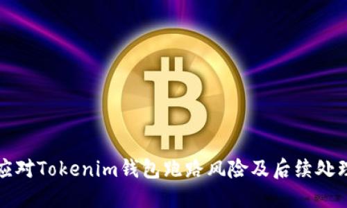 如何应对Tokenim钱包跑路风险及后续处理指南
