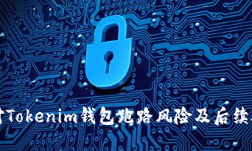如何应对Tokenim钱包跑路风险及后续处理指南