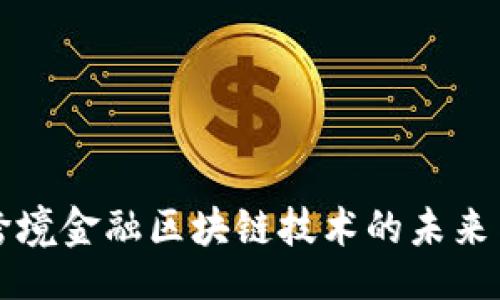 题目  
中国跨境金融区块链技术的未来与挑战