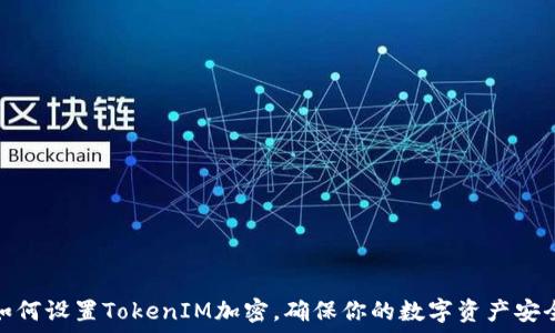  
如何设置TokenIM加密，确保你的数字资产安全