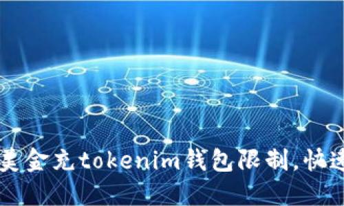 如何突破美金充tokenim钱包限制，快速完成交易