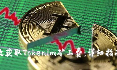 如何有效获取Tokenim矿工费：详细指南与技巧