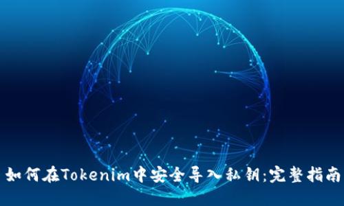 如何在Tokenim中安全导入私钥：完整指南