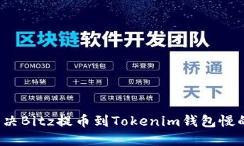 如何解决Bitz提币到Tokenim钱包慢的困扰？