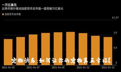 宠物快乐：如何让你的宠物真正幸福？