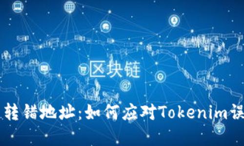 当数字资产转错地址：如何应对Tokenim误转入的挑战