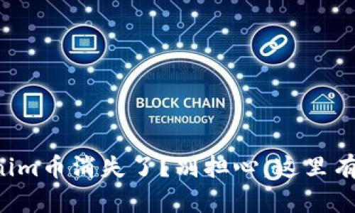 你的Tokenim币消失了？别担心，这里有解决方案！