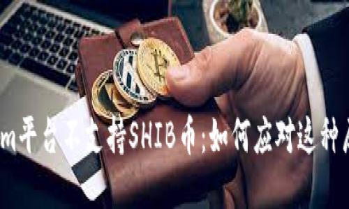 Tokenim平台不支持SHIB币：如何应对这种局限性？