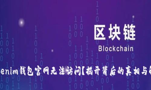 为何Tokenim钱包官网无法访问？揭开背后的真相与解决方案