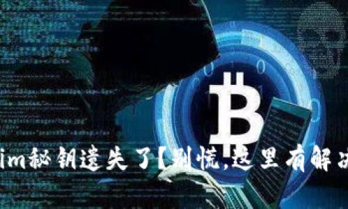 Tokenim秘钥遗失了？别慌，这里有解决之道！
