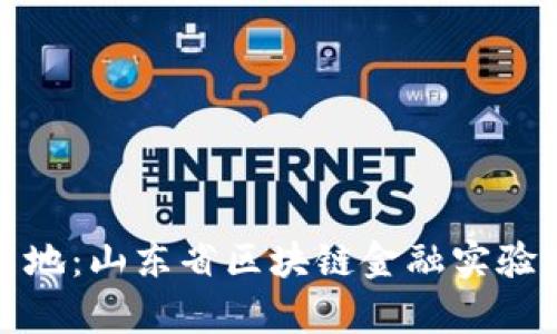 抢占未来财富高地：山东省区块链金融实验室的崛起与挑战