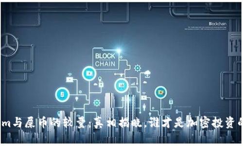 Tokenim与屎币的较量：真相揭晓，谁才是加密投资的赢家？