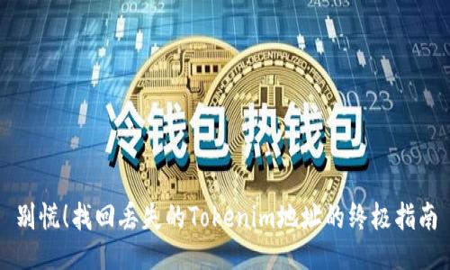别慌！找回丢失的Tokenim地址的终极指南