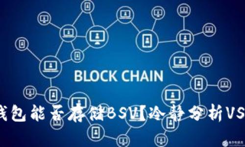 Tokenim钱包能否存储BSV？冷静分析VS热情挑战！