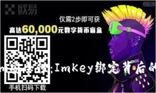 解密Tokenim安全性：ImKey绑定背后的风险与挑战