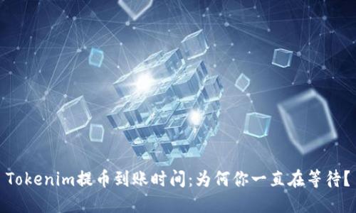 Tokenim提币到账时间：为何你一直在等待？