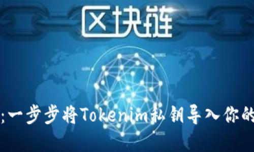 掌握私钥：一步步将Tokenim私钥导入你的数字钱包