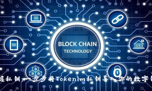 掌握私钥：一步步将Tokenim私钥导入你的数字钱包