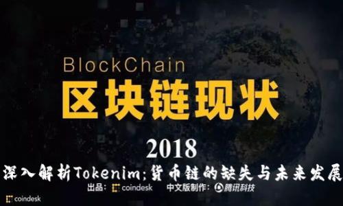 深入解析Tokenim：货币链的缺失与未来发展