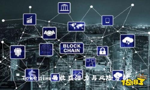 Tokenim的收益潜力与风险分析