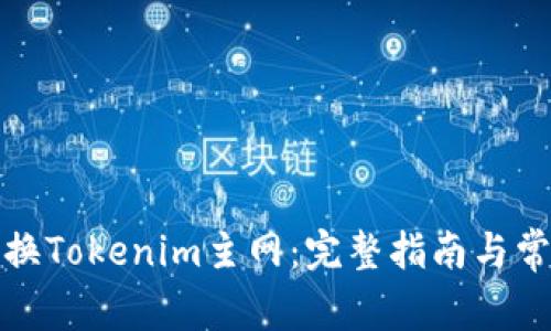 如何顺利切换Tokenim主网：完整指南与常见问题解答