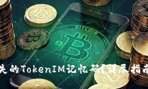 如何找回丢失的TokenIM记忆码？详尽指南与解决方案