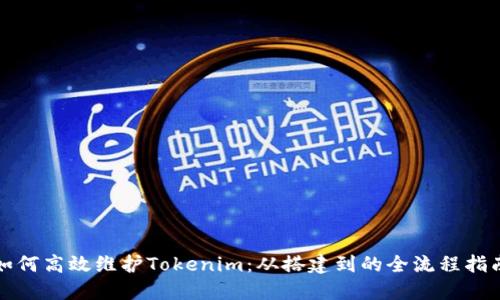 如何高效维护Tokenim：从搭建到的全流程指南