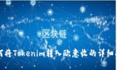 如何将Tokenim转入欧意收的详细指南
